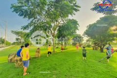 Sống xanh cùng khu dịch vụ hỗn hợp vsip quảng ngãi, chỉ 13 trm2