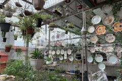 Bãn nhà riêng khương trung 30m, 5tầng, mt 5m, giá 3.8 tỷ 0969325223 nga 0969325223 nga