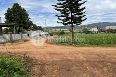 Bán đất 1.5 sào đất có thổ cư cách cầu ông thiều, đơn dương 700m giá 2.3 tỷ