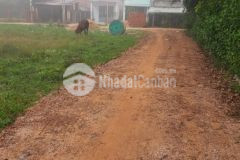 Bán đất tây ninh, châu thành công chứng liền 4xx