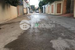 Bán đất biệt thự nhà vườn đông anh đường ô tô tránh gần cầu thăng long