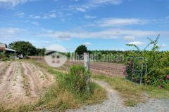 390 triệu mua liền đất thành phố sổ hồng riêng 100 thổ cư được ngân hàng hỗ trợ 130tr