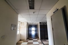 Căn hộ 2 phòng ngủ, sẵn nội thất, đã có sổ tại chung cư phenika hòa lạc, gần trường fpt