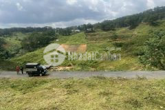 Đất full xd sổ riêng view rừng thông chỉ 4.9 tỷ