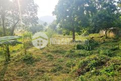 Siêu phâm đất hơp phong, cao phong, hòa bình 1.545m, chỉ 1.45 tỷ.