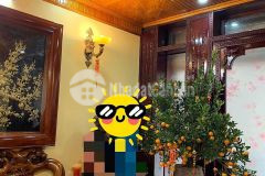 Nhà đẹp đầu ngõ cửa bắc, giá 11 tỷ, 45m2x6t, ở luôn, nở hậu, ảnh thật