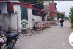 Vị trí đài bi, uy nỗ, đông anh, hà nội. bán đất tặng nhà cấp 4. dt 120m2, mặt tiền 8m. tiện