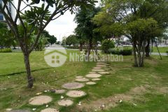 Căn hô eco green quân 7. gia 5.5 ty co sô thương lương