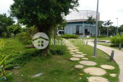 Căn hô eco green quân 7 nguyên văn linh. gia 5.6 ty co sô.