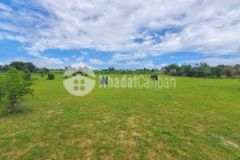 Chỉ 280 triệu sở hữu ngay 2000m2 đất vườn có sẵn sổ hồng, gần vườn thú 3300ha. lh hoặc add zalo