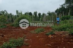 Cần bán đất đẹp, giá hấp dẫn, thích hợp đầu tư