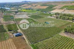 Bán lô đất ven biển bắc bình bình thuận mặt tiền đường sỏi đón đầu cao tốc sắp hoàn thành