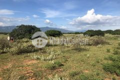 Chỉ với 270tr với mỗi 1000m2 sở hữu ngay lô đất vườn ven biển bình thuận