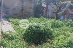 Bao đầu tư bán đất thổ cư võ thị thừa hxt quận 12 200m2 giá 6.8 tỷ