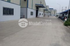 Cần chuyển nhượng gấp nhà xưởng tại phố nối a