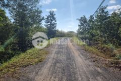 Bán đất trồng cây ăn trái, xã ea nuôl, huyện buôn đôn, suối, 1.2ha, 0943466063