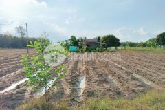 Mình muốn bán 650tr đất mặt tiền 8m thổ cư 100 ở thành phố được ngân hàng hỗ trợ