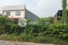 Bán 586m2 544m thổ cư đường nhị bình 10a hóc môn. lh0989567889.