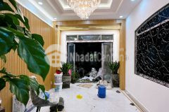 Bay gấp nhà mới cực đẹp giá cực mềm chưa đến 8 tỷ dọn vào ở ngay đường phan xích long