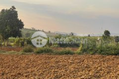 Cần tiền nên bán gấp lô đất kambute tu tra đơn dương lâm đồng