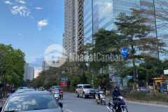 Bán nhà phố nguyễn hoàng mỹ đình, 350m2, mt17.45m, 81.9 tỷ