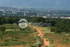 550tr sang tên ngay lô đất 2295m2 ven biển bình thuận