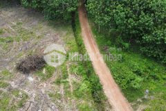 Chủ ngộp bán đất trả nợ hết đất tân hưng châu thành 300tr