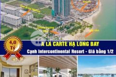 Alacarte quỹ ngoại giao căn hộ tầng cao view vịnh hạ long giá tốt