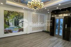 Biệt thư vip ba đình lô góc kinh doanh thang máy gara ôtô