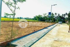 Chính chủ cần bán đất giá rẻ tại điện thọ cạnh đường đt609