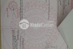 Hạ nhiệt chủ ngộp cần gả gấp em bé mặt tiền đường liên xã suối thông b đạ ròn đơn dương lâm đồng