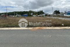 Đất nền trung tâm thạnh mỹ giá rẻ