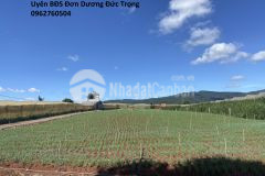 Đất đẹp gần sân golf ngân hàng cho vay 600tr tại phòng công chứng