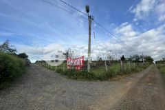 04 lô đất thổ cư đường ô tô lộc châu, bảo lộc đã có sổ