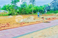 Đất điện hồng điện bàn quảng nam giá bao rẻ sát đà nẵng