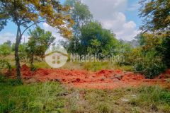 Bán đất khu i mỹ phước 3 ngay các công ty mp3, sau đất là đường vành đai 4.