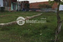 Đất chính chủ cần bán. đất ở vĩnh lộc b huyện bình chánh hcm