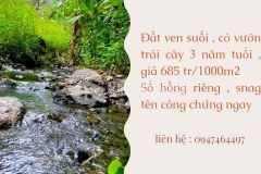Cần bán vườn cây ăn trái 3 năm tuổi, sổ hồng riêng 1000m giá 685 triệu, phía sau có suối