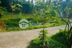 Bán mảnh 380,32m xã bản sen,vân đồn,quảng ninh phun thổ cư