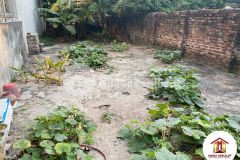 Cần bán gấp đất xóm mít, cổ loa, ô tô đỗ cửa, 1x trm2, 300m2, 0886736116