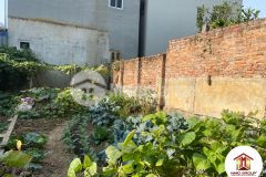 Bán gấp đất thôn đào thục, thuỵ lâm, đông anh, kinh doanh sầm uất, 2x trm2, 52.9m2, 0886736116