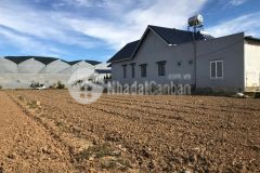 Chủ ngộp ngân hàng cắt lỗ cần bán gấp lô 20x50 tại thị trấn thạnh mỹ chỉ 2 tỷ 2