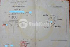 Cắt lỗ đất du lịch quốc gia mộc châu, lời ngay khi mua