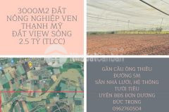 Hơn 3000m2 đất nông nghiệp full pep tưới, nhà lưới, view sông