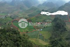 Bán đất nền mộc châu 5ha,khu vực phiêng luông có 1000m thổ cư