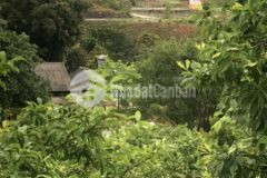 Bán đất nền mộc châu,5ha xã chiềng sơn sổ đỏ rõ ràng