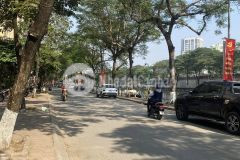 Bán nhà phố nguyễn đình hoàn cầu giấy, 620m2, mt 20m, 165 tỷ