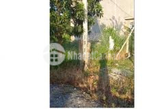 Ngộp bank gấp bán đất mt quốc lộ 55, xuyên mộc, br vũng tàu 897m2, chỉ 6.5 tỷ.