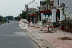 Chính chủ cần bán lô đất thuộc xã quỳnh hoàng, quỳnh phụ, thái bình.