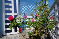 Bán gấp nhà hiệp thành 45 quận 12 giá rẻ, 40m2, 3tầng chỉ 3 tỷ